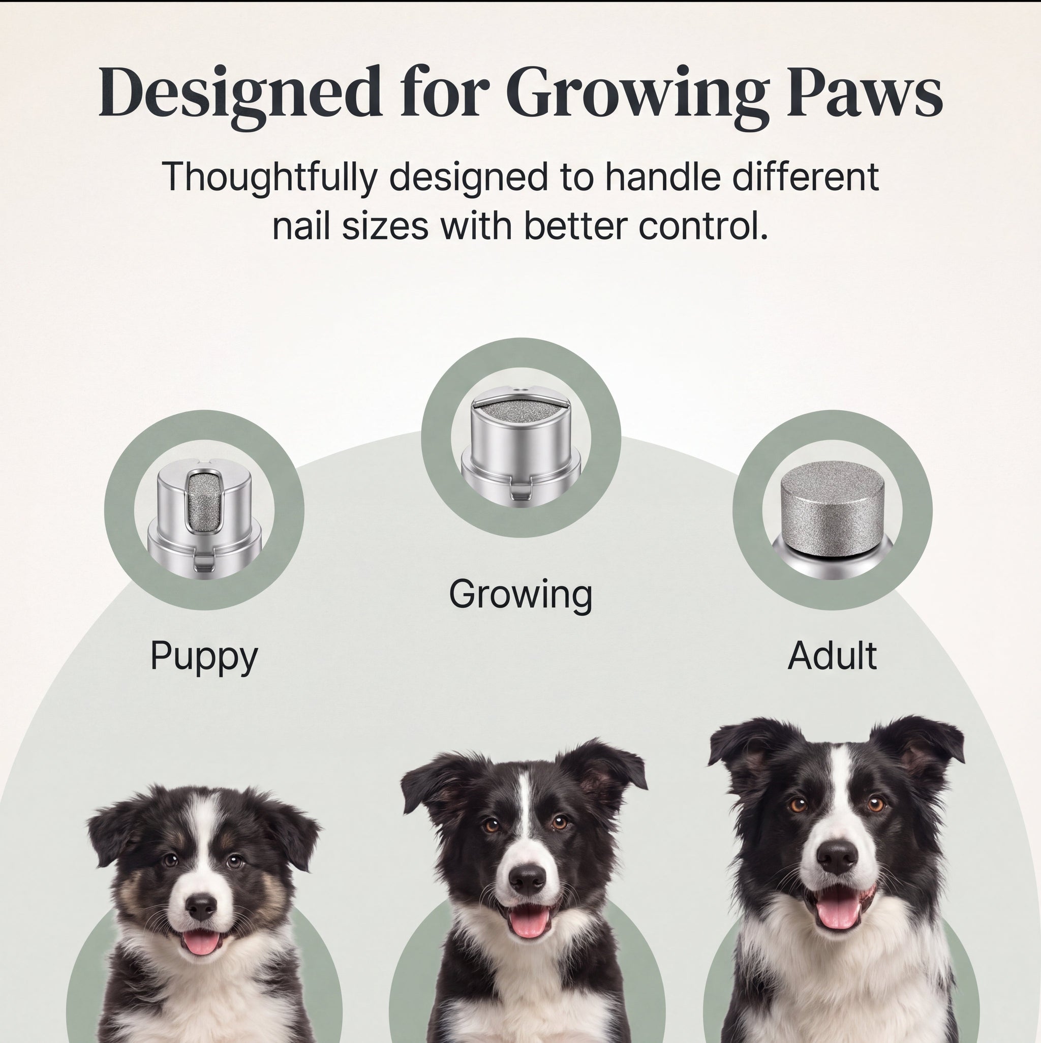 Pawlytic Lab QuickScan Pro™ See The Quick. Before You Cut.